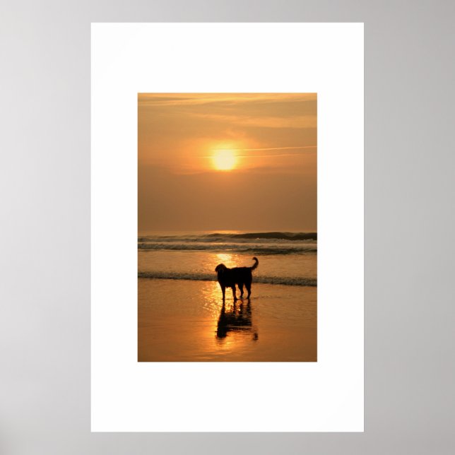 Póster Perro al amanecer (Frente)