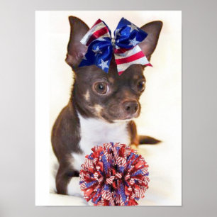 Póster Perro animador Chihuahua