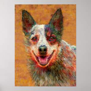 Póster perro australiano del ganado