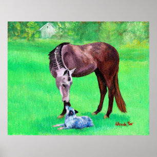 Póster Perro australiano del ganado del caballo cuarto de