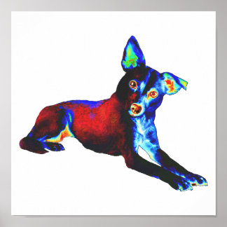 Póster Perro azul