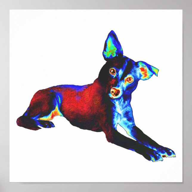 Póster Perro azul (Frente)