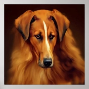 Póster Perro Bakharwal - Retrato de perro