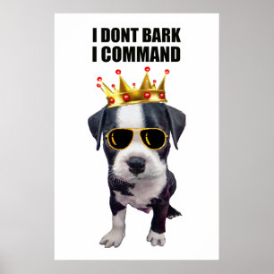Póster Perro bebé de Guay con frase graciosa arriba