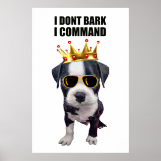Póster Perro bebé de Guay con frase graciosa arriba