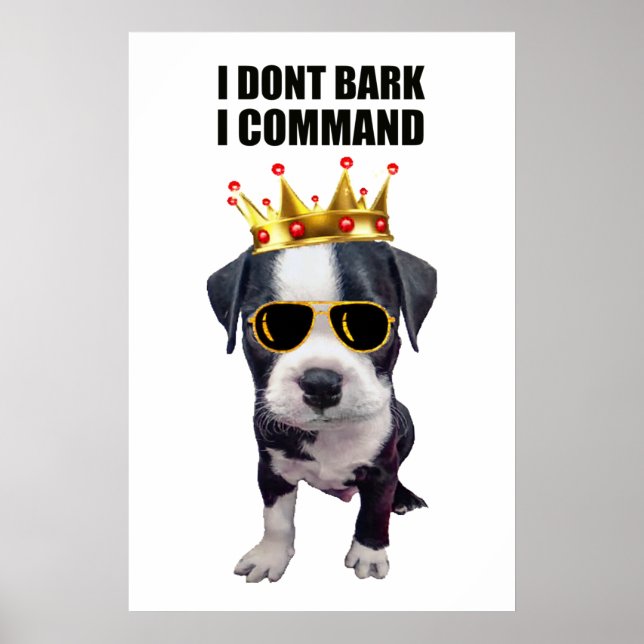 Póster Perro bebé de Guay con frase graciosa arriba (Frente)