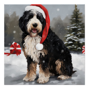 Póster Perro Bernedoodle en Navidades de Nieve