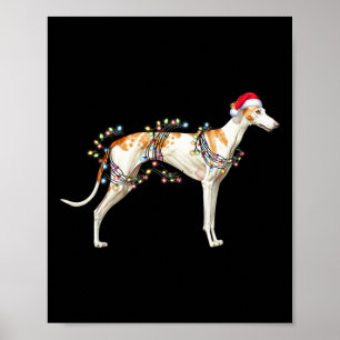 Póster Perro blanco Santa Claus Navidades Gorras luz