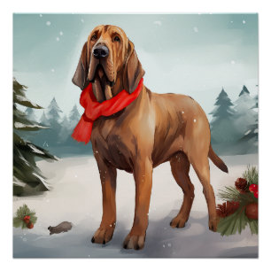 Póster Perro Bloodhound en Navidad con Nieve