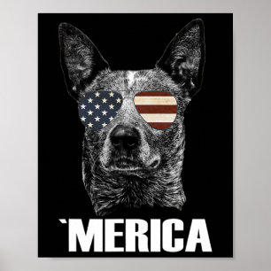 Póster Perro Blue Heeler del 4 de julio Merica Patriótico