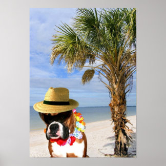 Póster Perro Boxer en el poster de la playa