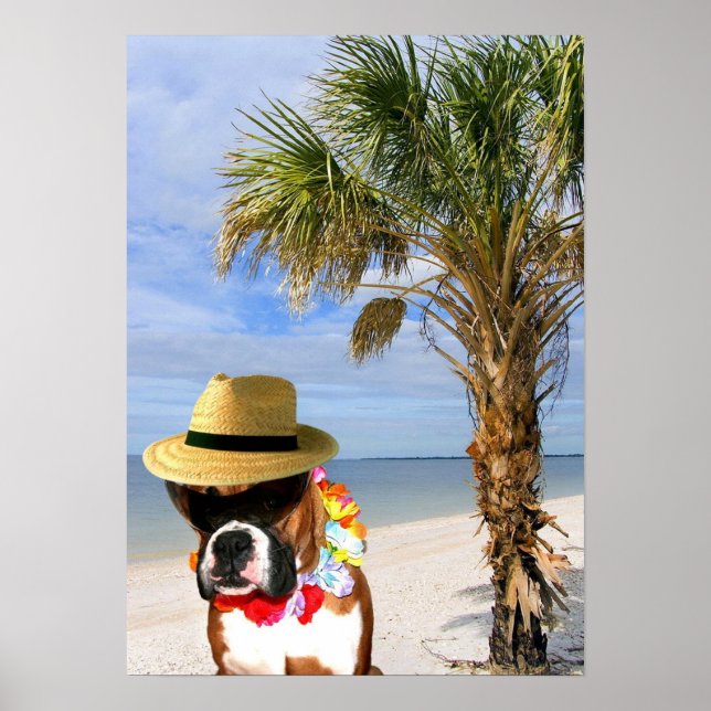 Póster Perro Boxer en el poster de la playa (Frente)
