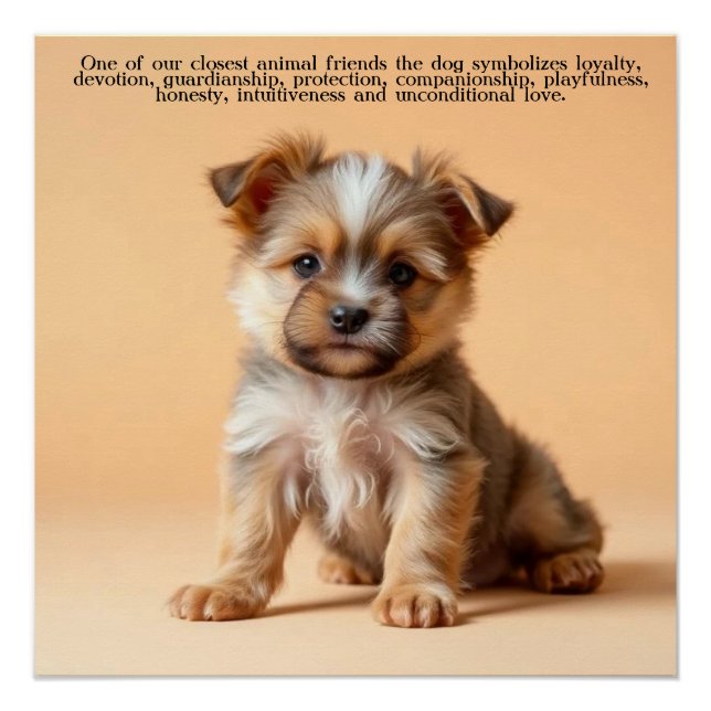Póster Perro / Cachorro (Anverso)