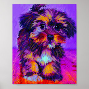 Póster perro calico