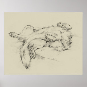 Póster Perro Cansado
