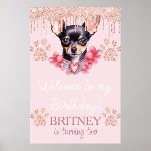 Póster Perro Chihuahua con Fiesta de bienvenida al cumple
