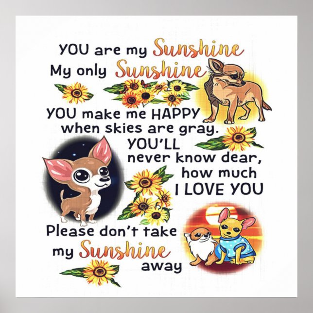 Póster Perro Chihuahua, eres sol | Sunshine de perro (Frente)