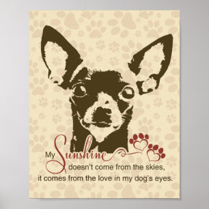 Póster Perro Chihuahua Mi Sol