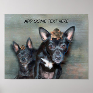 Póster Perro chihuahua negro con texto Personalizado del