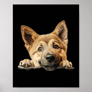 Póster Perro Chinook Mamá Papá Asomándose Cachorro