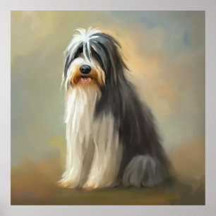 Póster Perro Collie con barba