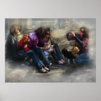Póster Perro - Cómo humillar a un perro