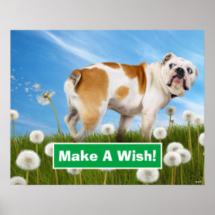 Póster Perro con Dandelion