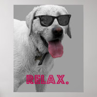 Perro con gafas de sol, relájate