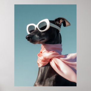 Póster Perro con gafas de sol y bufanda elegante