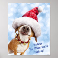 Perro con gorro de Papá Noel