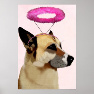 Póster Perro con Halo Rosa