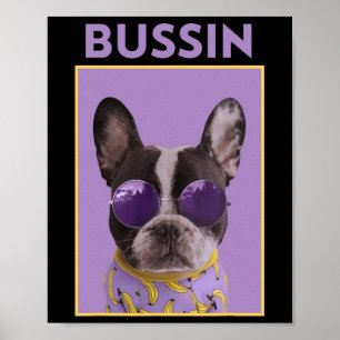 Póster Perro con Sungles Bulldog Bussin