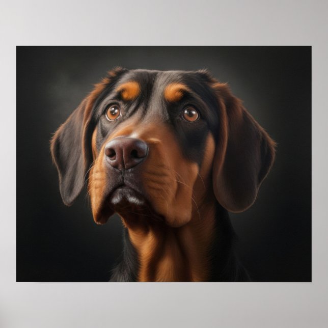 Póster Perro Coonhound (Frente)