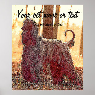 Póster Perro corpulento afgano en el bosque
