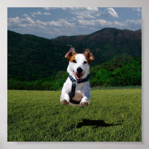 Póster Perro corriendo libre - Añade tu propio texto