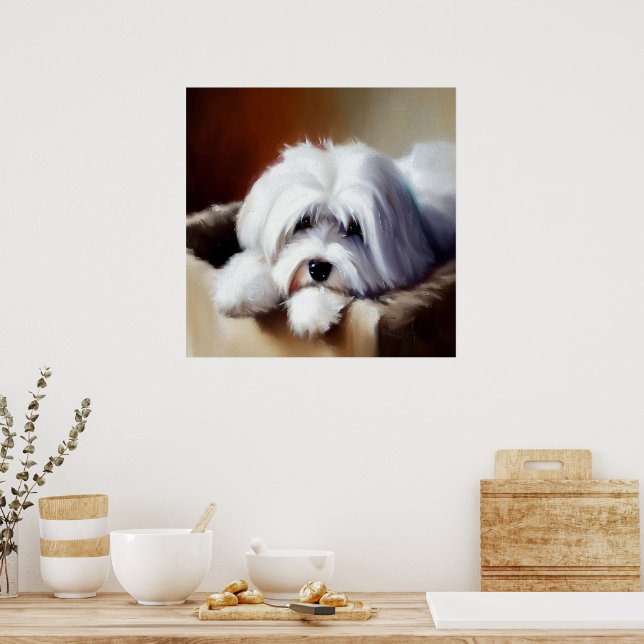 Póster Perro Coton de Tulear (Cocina)
