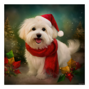 Póster Perro Coton De Tulear en Navidades de Nieve