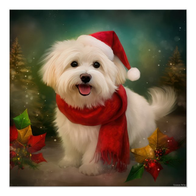Póster Perro Coton De Tulear en Navidades de Nieve (Anverso)