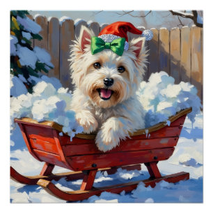 Póster Perro Coton de Tulear Esponjoso Trineo Navideño Vi