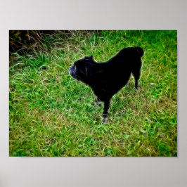 Póster Perro curioso en fibras brillantes sobre negro