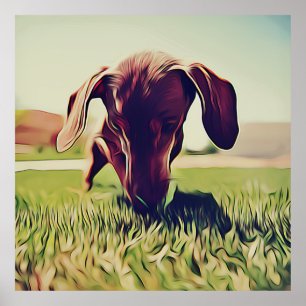 Póster Perro Dachshund Jugando Con Una Bola De Tenis Cump
