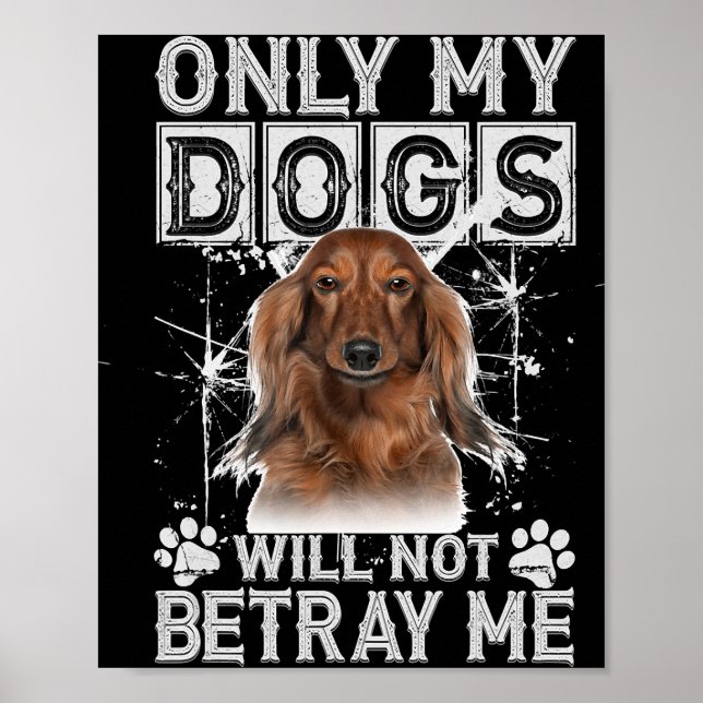Póster Perro Dachshund - No me traicionará regalos (Frente)
