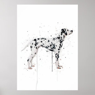 Póster Perro Dálmata