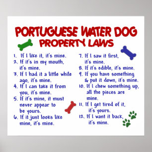 PÓSTER PERRO DE AGUA PORTUGUESA PL2