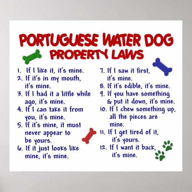 PÓSTER PERRO DE AGUA PORTUGUESA PL2 (Frente)