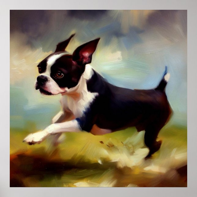 Póster Perro de Boston Terrier (Frente)