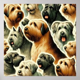 Póster Perro de Briard inmaculado