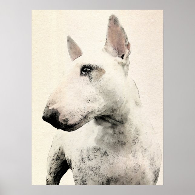 Póster Perro de Bull Terrier Inglés (Frente)