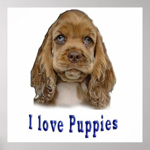 Póster Perro de cachorro