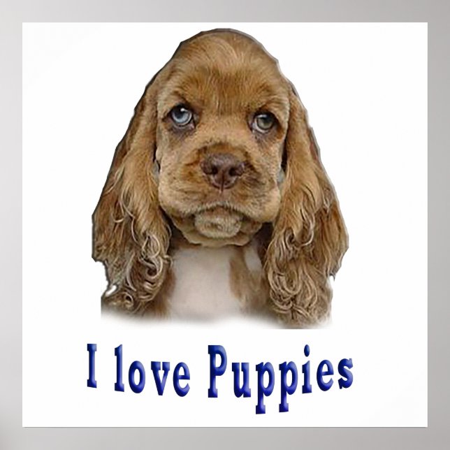 Póster Perro de cachorro (Frente)